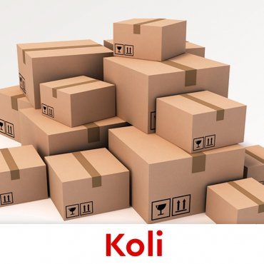 Koli